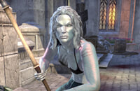 The Elder Scrolls Online, The Elder Scrolls 6, MMO, The Elder Scrolls IV: Oblivion, Bethesda Softworks, Ролевые игры, Bethesda Game Studios, Skyrim, Экшены