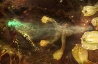 Dead Space, Visceral Games, ПК, Хорроры, Electronic Arts, Xbox, Dead Space Remake, Sony PlayStation, Игровая история