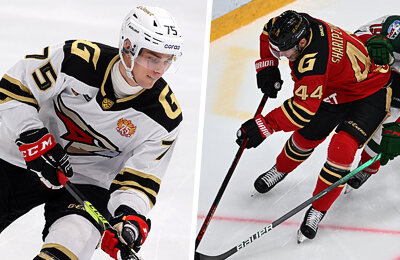 Богдан Денисевич, Алексей Береглазов, Семен Чистяков, Вилле Покка, Авангард, Виктор Сведберг, Оливер Каски, Алексей Емелин, Тимофей Давыдов, КХЛ, Кирилл Готовец, Дамир Шарипзянов