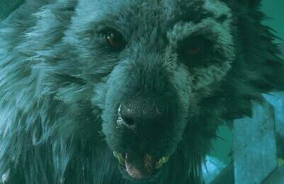 Гайды, SCE Santa Monica Studio, God of War: Ragnarok