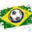 Блог о бразильском футболе
