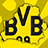 BVB Belarus