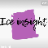 ice insight