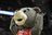 Clutch The Bear[d]