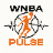 WNBA Pulse