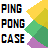 Ping-Pong Case