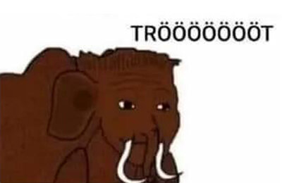 Мемы про животных, мемы, Свежие мемы