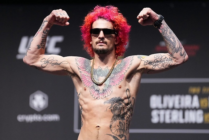 Шон О'Мэлли, UFC