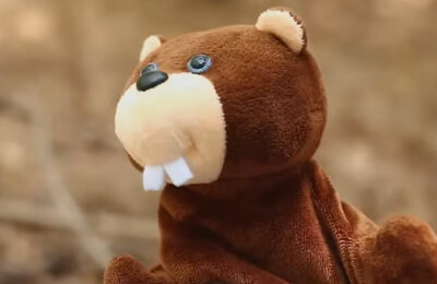 TikTok, Музыка и мемы, Свежие мемы