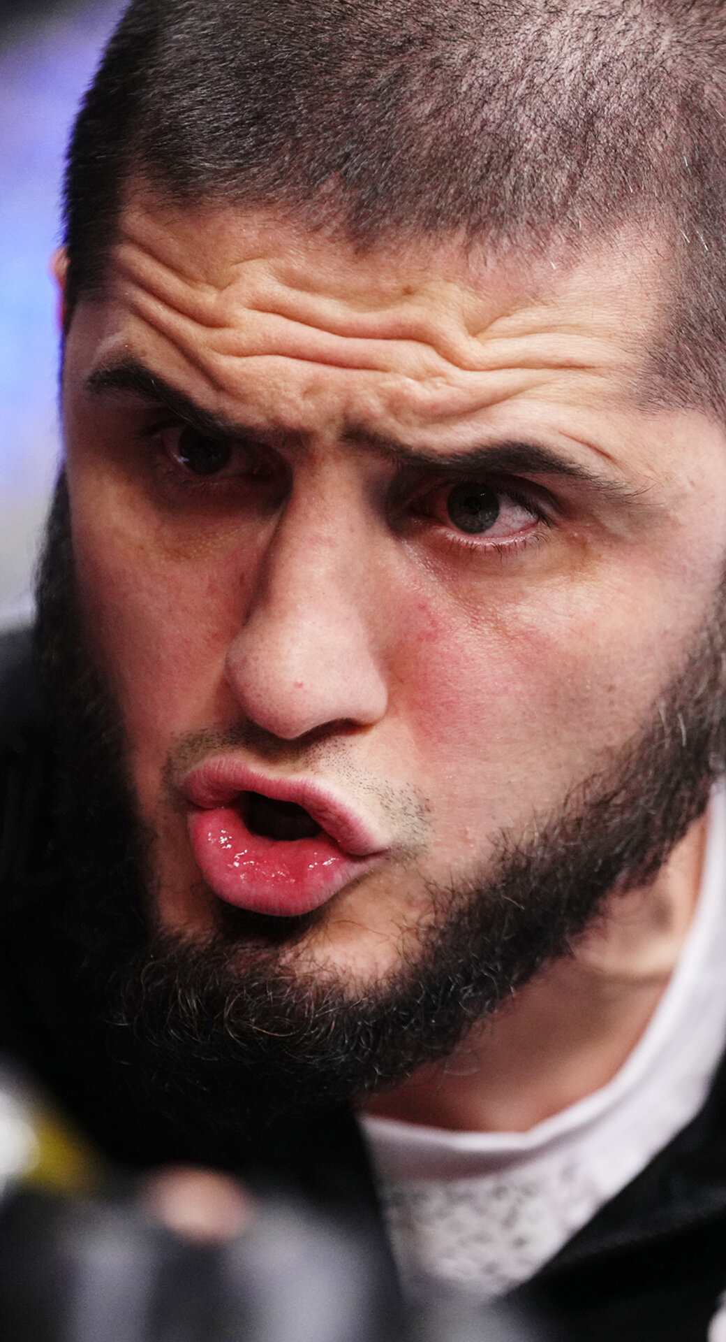 Провал команды Хабиба в Катаре: Махачев секундировал двух бойцов – оба проиграли