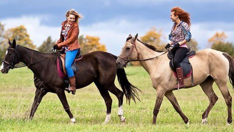 Где покататься на лошадях в Подмосковье в 2024 – топ лучших мест для конных прогулок в МО