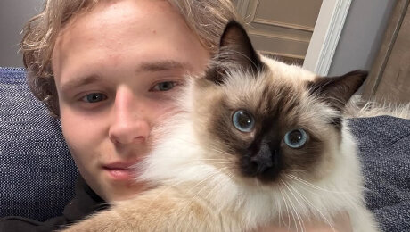 «Кошки меня игнорируют». Малинин обожает своих питомцев – но это не всегда взаимно