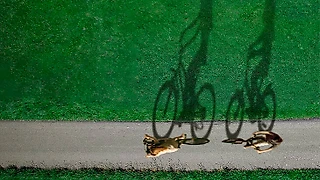 5 тру-крайм документалок с нераскрытыми делами