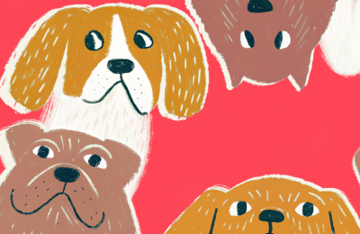 Спецпроекты, Реклама, BetBoom Team, Тесты