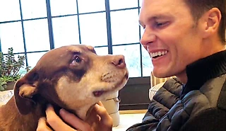 Том Брэди клонировал свою собаку. И что, она правда полная копия прежней?