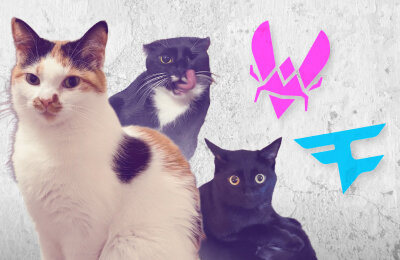 Ставки на CS 2, Team Vitality, Faze Clan, Ставки на киберспорт, StarLadder Budapest Major 2025