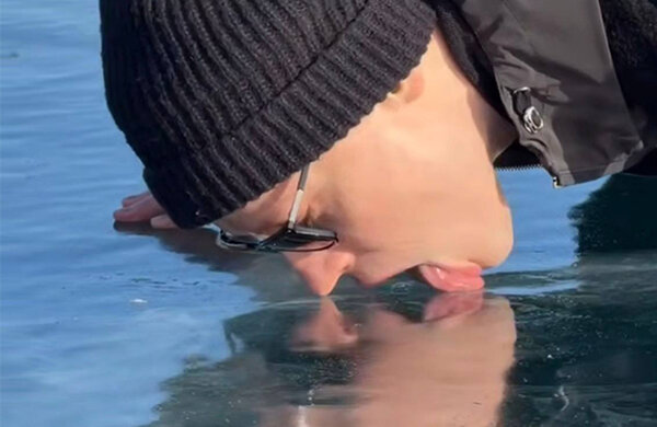 Свежие мемы, мемы