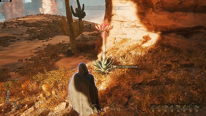 Гайды, Dune: Awakening