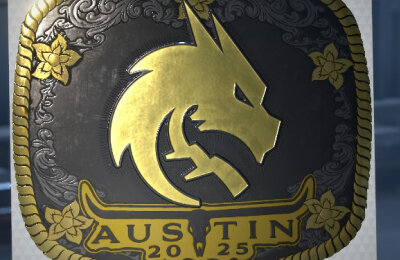 BLAST Austin Major, Valve, Team Spirit