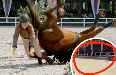 Лошади связали ноги, чтобы снять красивое падение. Скандал вокруг фильма «Мой любимый чемпион» 