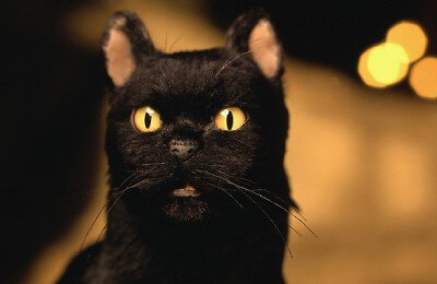 Сериалы, Сабрина – маленькая ведьма