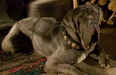 Гарри Поттер, Обзоры кино