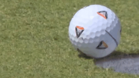 Муха прошлась по мячу – тот закатился в лунку. Так гольфист выиграл $2 млн