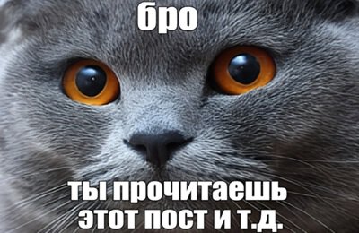 ахахаха, Гайды, Мемы про животных, мемы