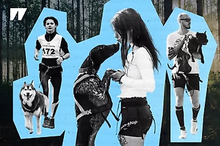 Как бегать с собакой? Гид по каникроссу 🐶