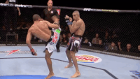 Пугающий нокаут вертушкой от ветерана UFC – соперник рухнул, как статуя