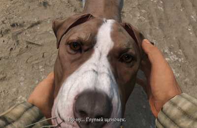 Kingdom Come Deliverance 2, Гайды