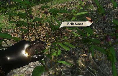 Kingdom Come: Deliverance, Прохождения