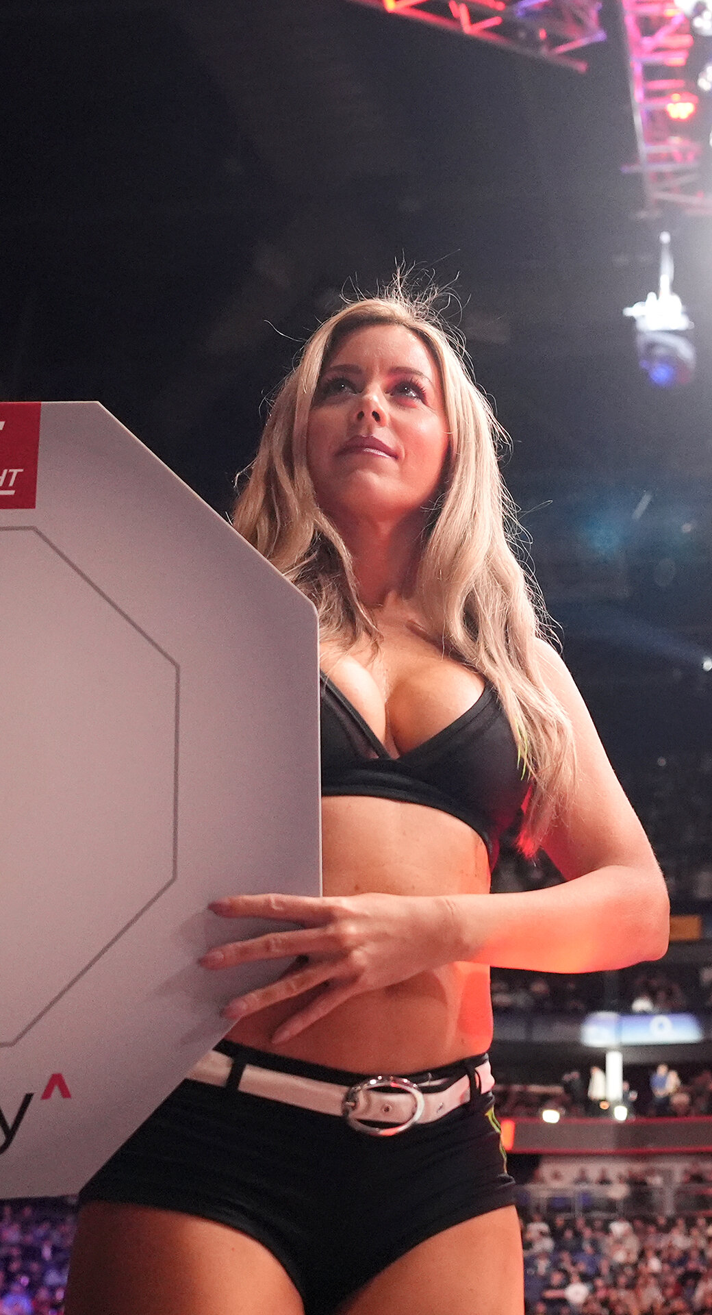Сколько стоит поехать на UFC в Абу-Даби – посидеть рядом с ринг-герл и пожать руку Дане Уайту?