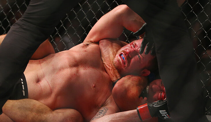 Фрэнсис Нганну, Майкл Биспинг, Джошуа Ван, Александр Волкановски, MMA, UFC, Алешандре Пантожа, Демиан Майя, Ти Джей Диллашоу, Джон Джонс, Жорж Сен-Пьер, Сирил Ган, Том Аспиналл, Исраэль Адесанья, Джастин Гейджи, Пэдди Пимблетт, Йоэль Ромеро, Алджамейн Стерлинг, Андерсон Сильва, Диего Лопес