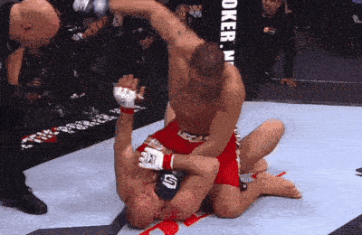 Цуеши Косака, MMA, Фабрисио Вердум, Федор Емельяненко, Антонио Сильва