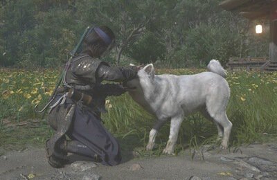 Гайды, Assassin's Creed Shadows