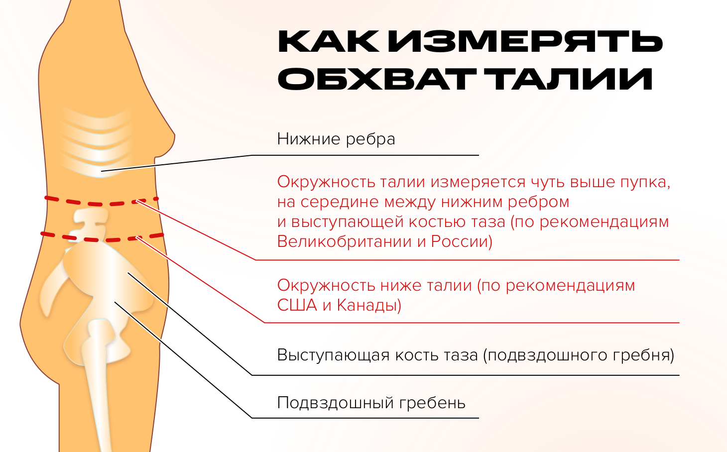 сколько процентов жира у женской груди фото 90