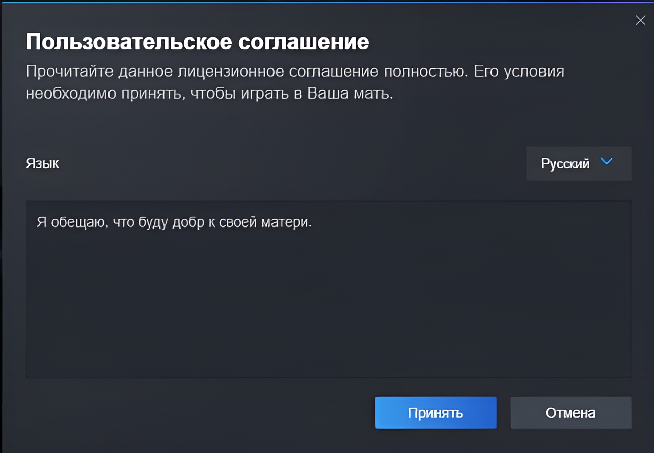 Вашу маму и тут, и там показывают: в Steam вышла программа Your Mom