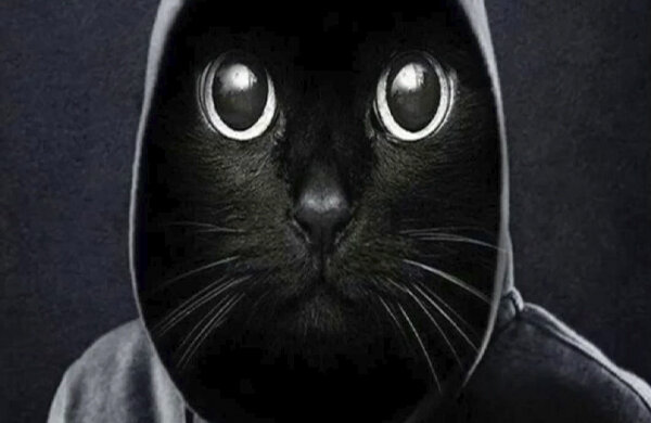 мемы, TikTok, Свежие мемы, Мемы про работу