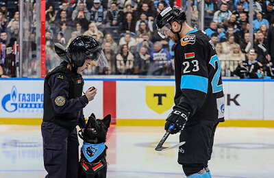 КХЛ, Андрей Стась, ЦСКА, Динамо Минск, Павел Карнаухов