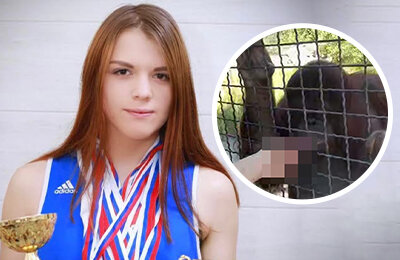 Скандал в зоопарке: боксерша дала покурить орангутану – теперь у него пропал аппетит