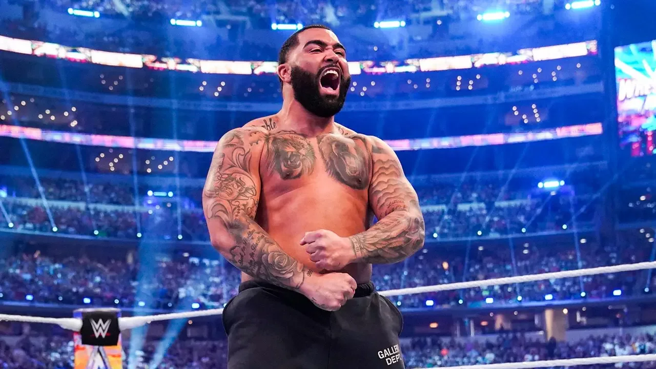 UFC, Джон Джонс, Гейбл Стивсон, MMA