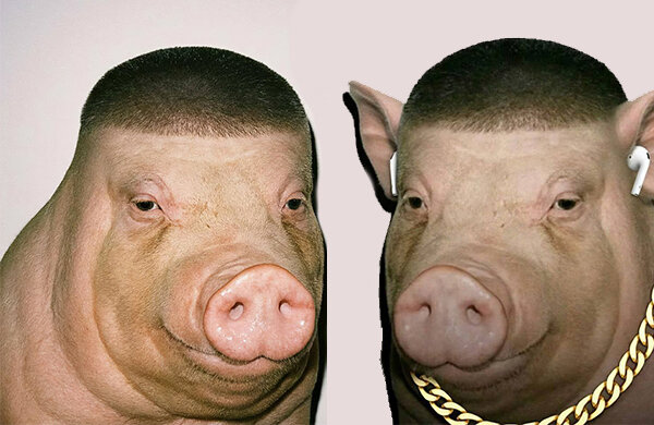 мемы, Мемы про животных, Свежие мемы