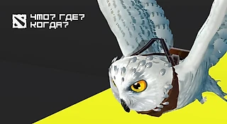 Итоги ЧГК по Доте – славим знатоков!