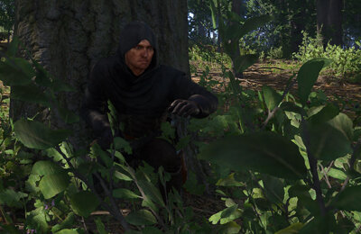 Kingdom Come Deliverance 2, Гайды