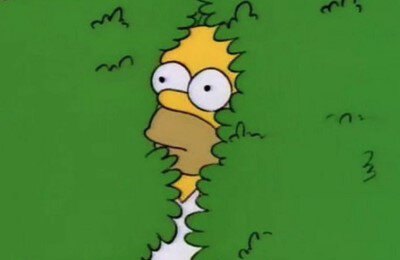 Симпсоны