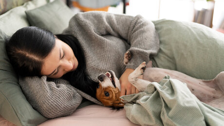 Новая фобия: сон в одной постели с домашними животными опасен для здоровья