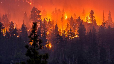 Batrider, Esports World Cup Dota 2