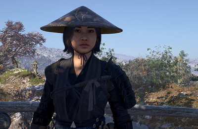 Assassin's Creed Shadows, Гайды