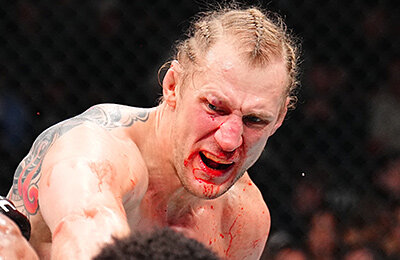 UFC, MMA, Александр Волков, Джош Хокит